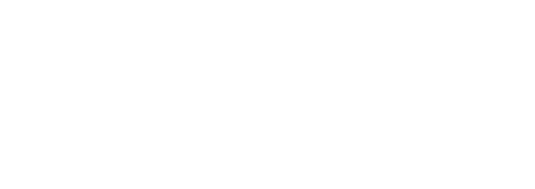 Nanton Street Hospitality Inc. white logo
